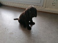 Raïley